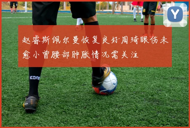 赵睿斯佩尔曼恢复良好周琦眼伤未愈小曾腰部肿胀情况需关注